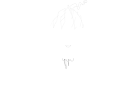 Michele Telari Films