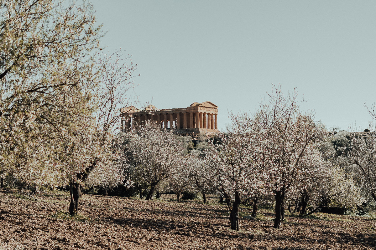 la valle dei templi agrigento