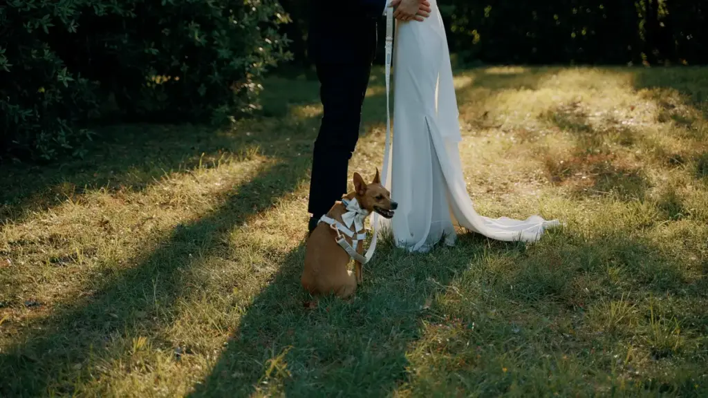 matrimonio a Villa Anitori tramonto
